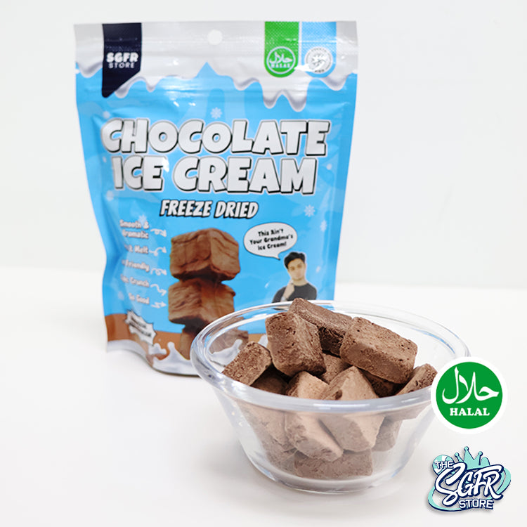 Freeze Dried Chocolate Ice Cream (50g) Halal