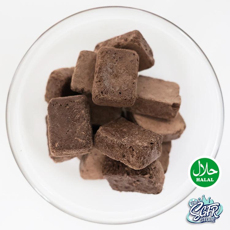 Freeze Dried Chocolate Ice Cream (50g) Halal