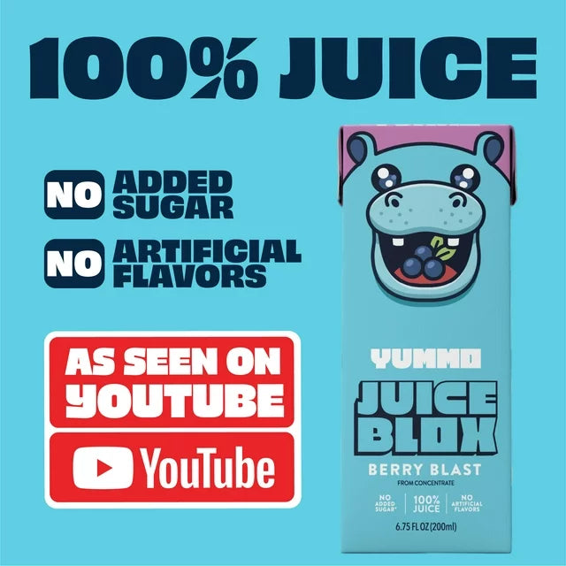 NinjaKidz Tropical Fruitblox & Yummo Berry Blast Juice
